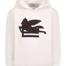 Толстовка с принтом Pegasus