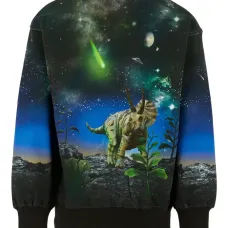 Толстовка с принтом