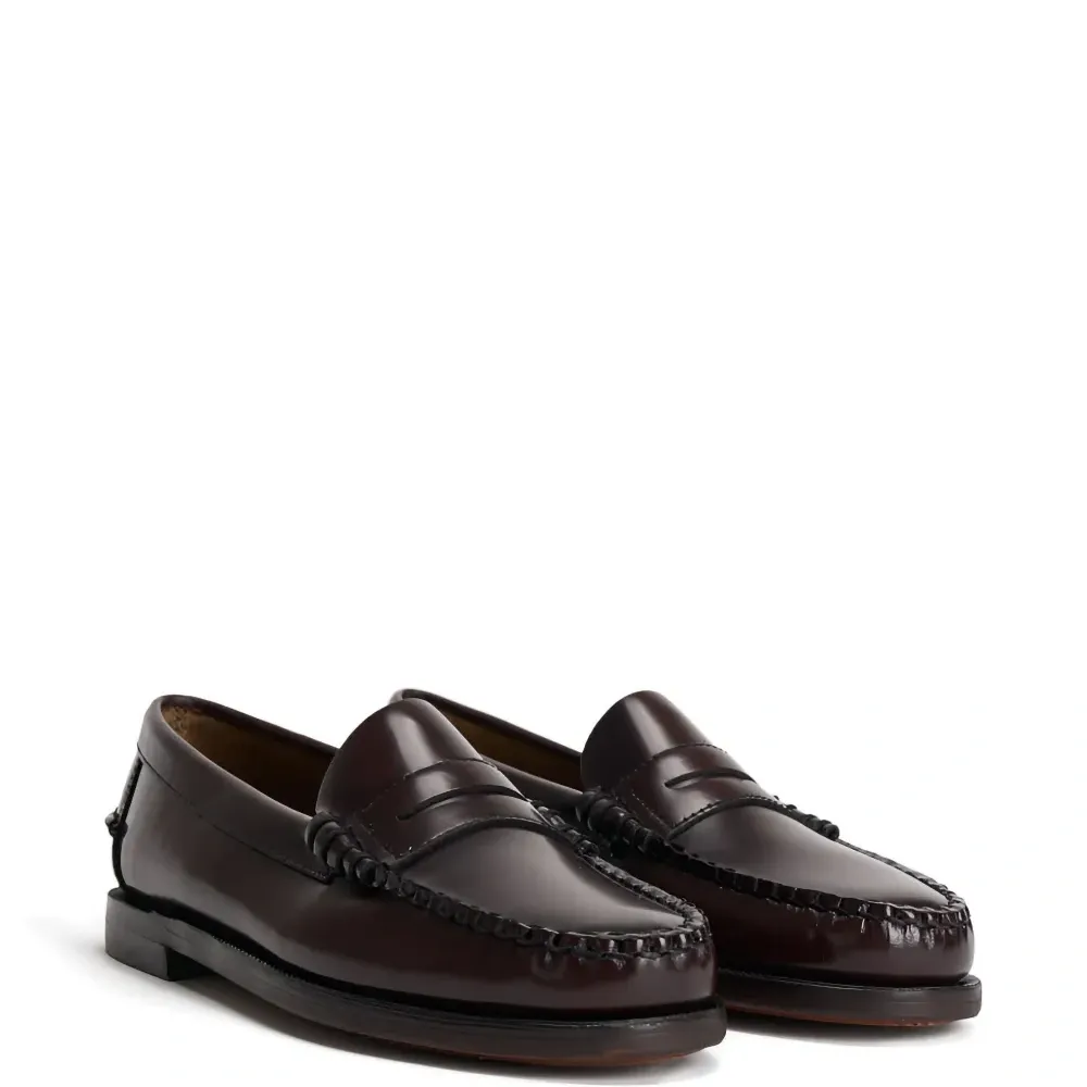 Лоферы Classic Dan