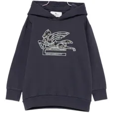 Худи с вышивкой Пегаса