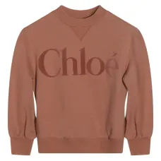 Толстовка с вышитым логотипом Толстовка с вышитым логотипом