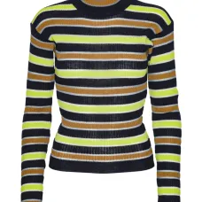 Полосатый свитер с воротником-ролл