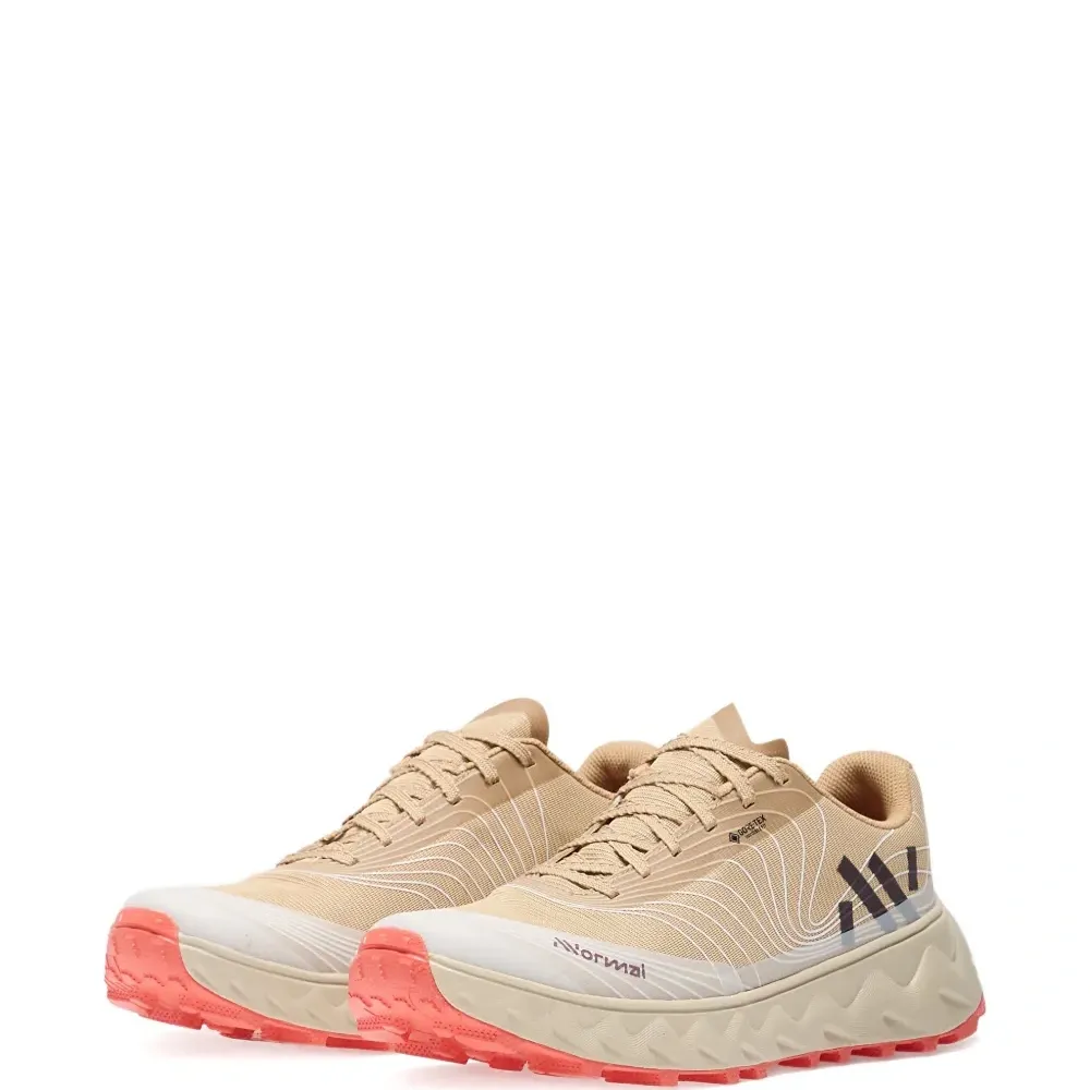 Кроссовки для бега Tomir 2.0 GTX Gore-Tex