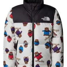 Куртка 1996 Retro Nuptse Куртка 1996 Retro Nuptse