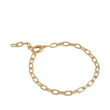 Браслет с подвесками Браслет с подвесками