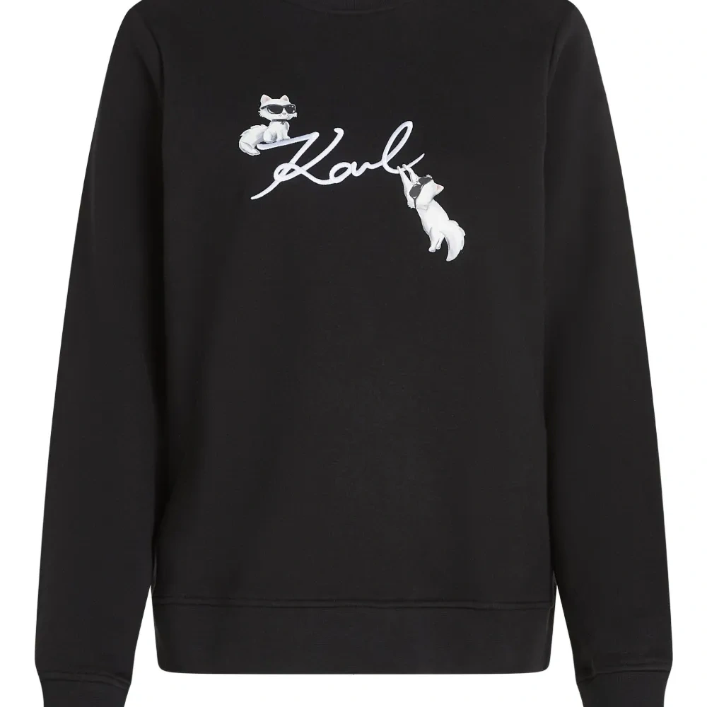 Толстовка Ikon Signature Choupette