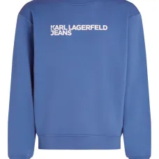 Толстовка с логотипом Толстовка с логотипом