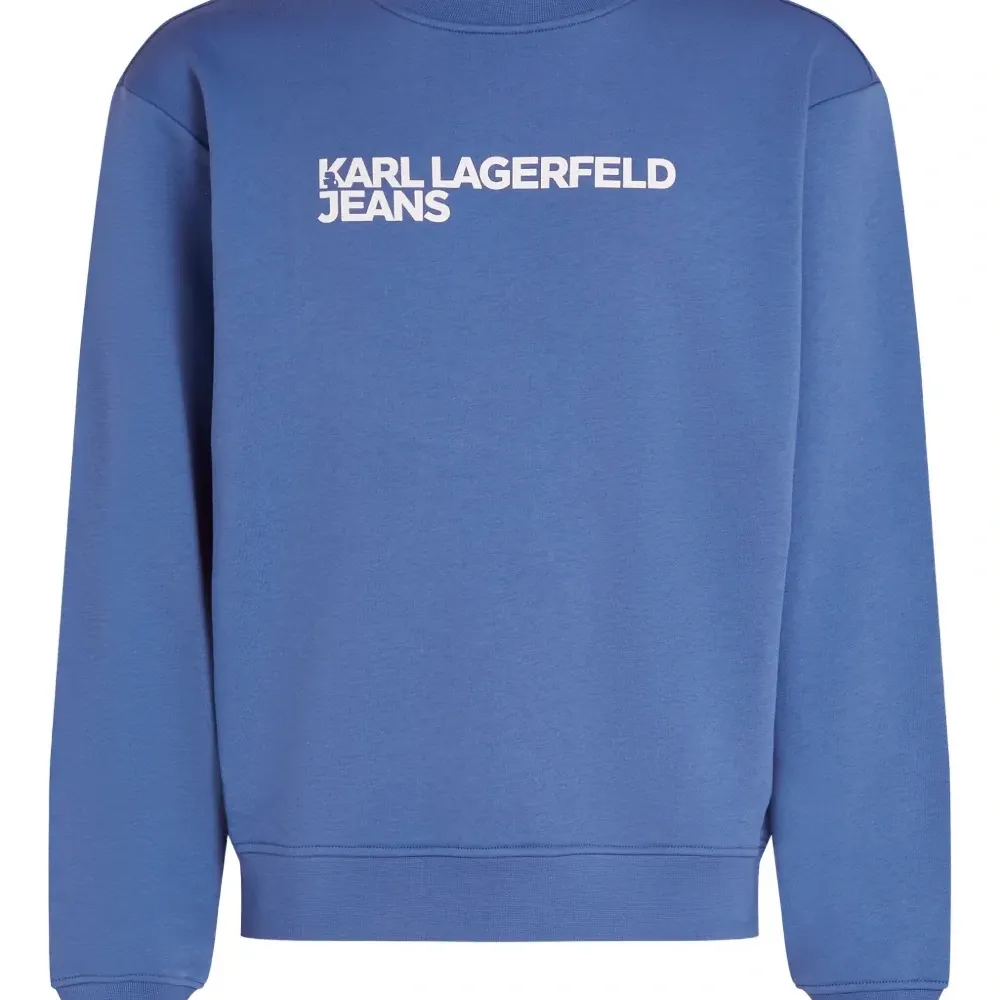 Толстовка с логотипом