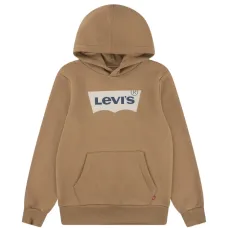 Худи с принтом логотипа