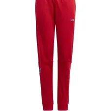 Спортивные брюки Adicolor