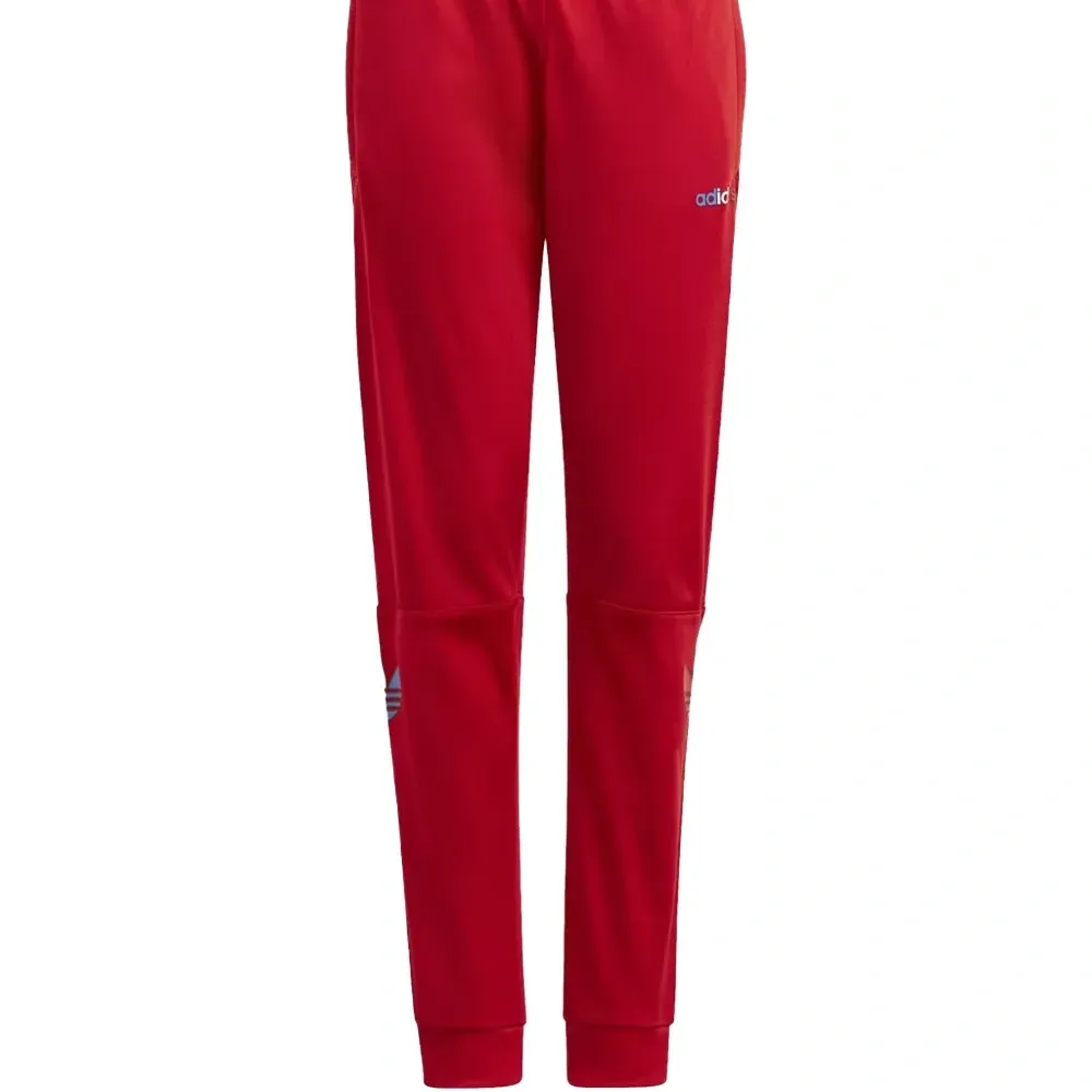 Спортивные брюки Adicolor