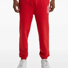 Спортивные штаны с логотипом