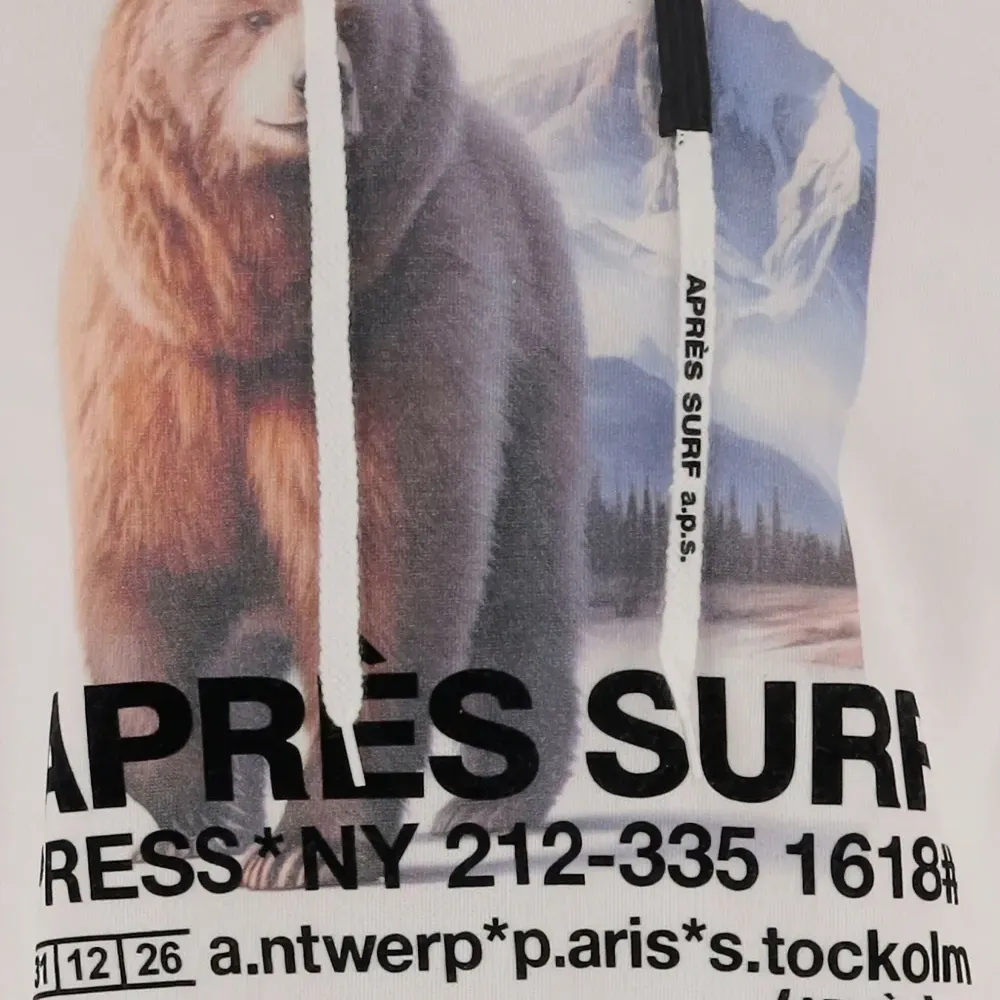 Худи с принтом в виде медведя и кулиской