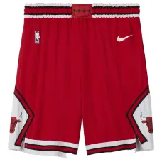Шорты NBA Chicago Bulls Icon Edition Swingman