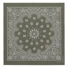 Пейсли бандана