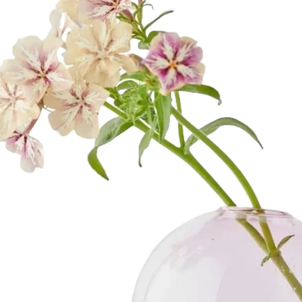 Ваза Flower Bubble (10 x 8 см) Ваза Flower Bubble (10 x 8 см)