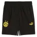 Шорты Borussia Dortmund ftblARCHIVE