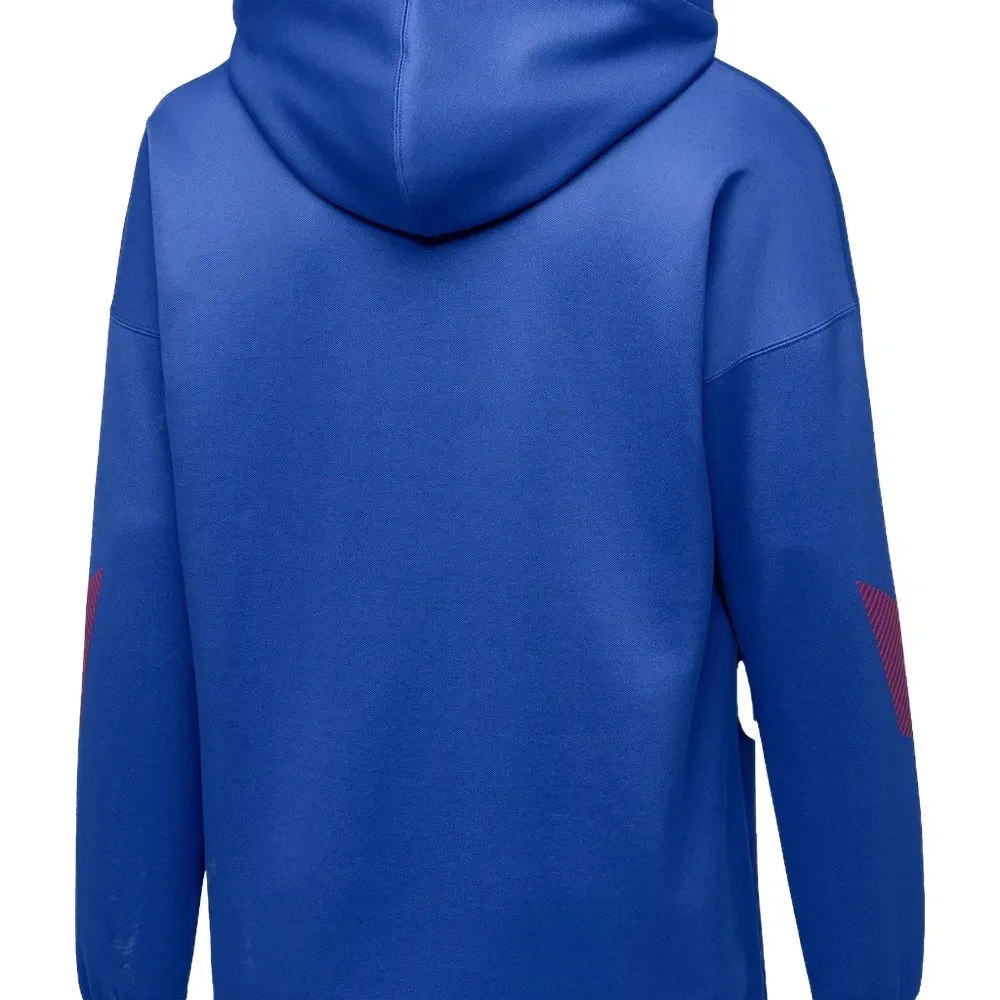 Толстовка с капюшоном RS-0 Capsule