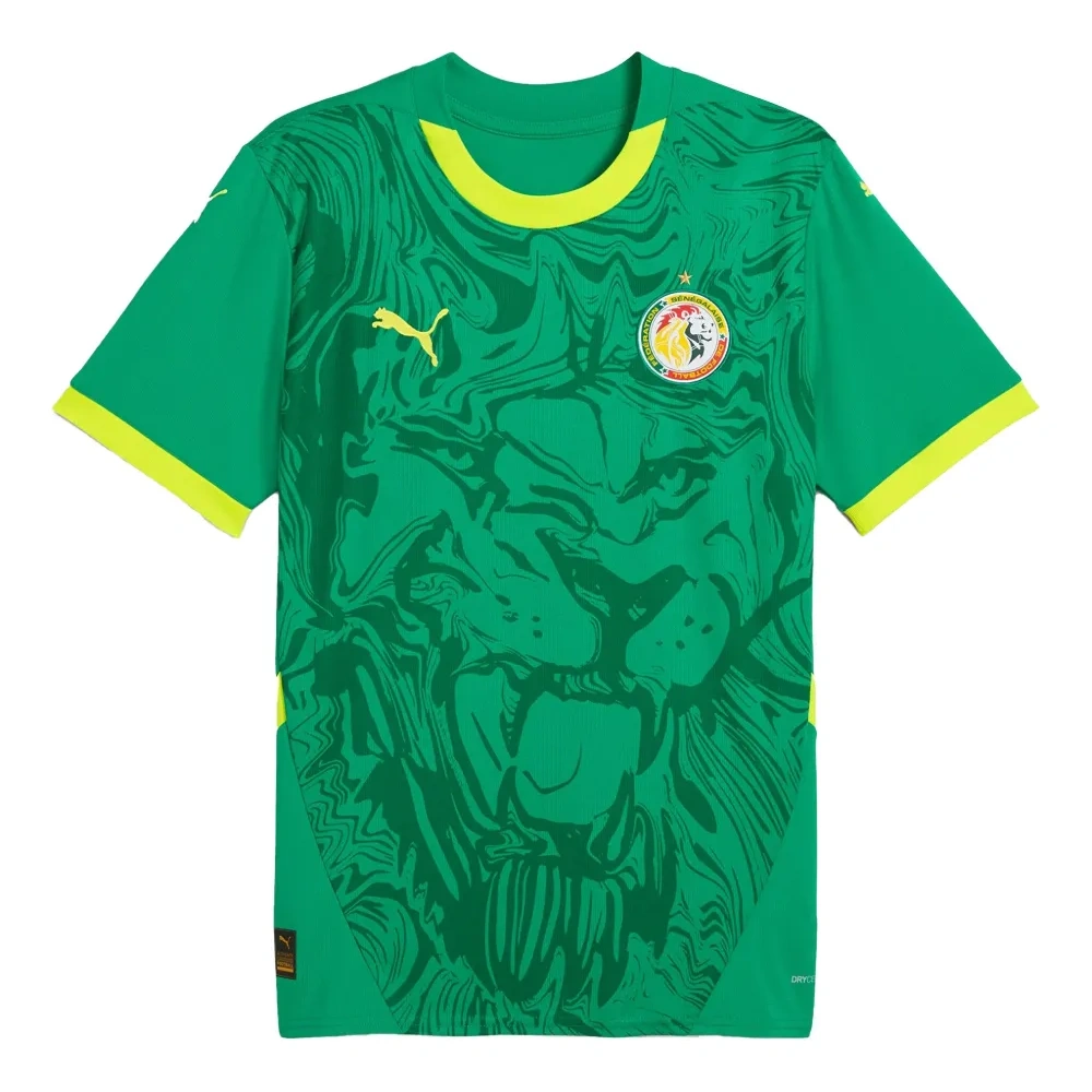 Футболка с графическим принтом Senegal 2025