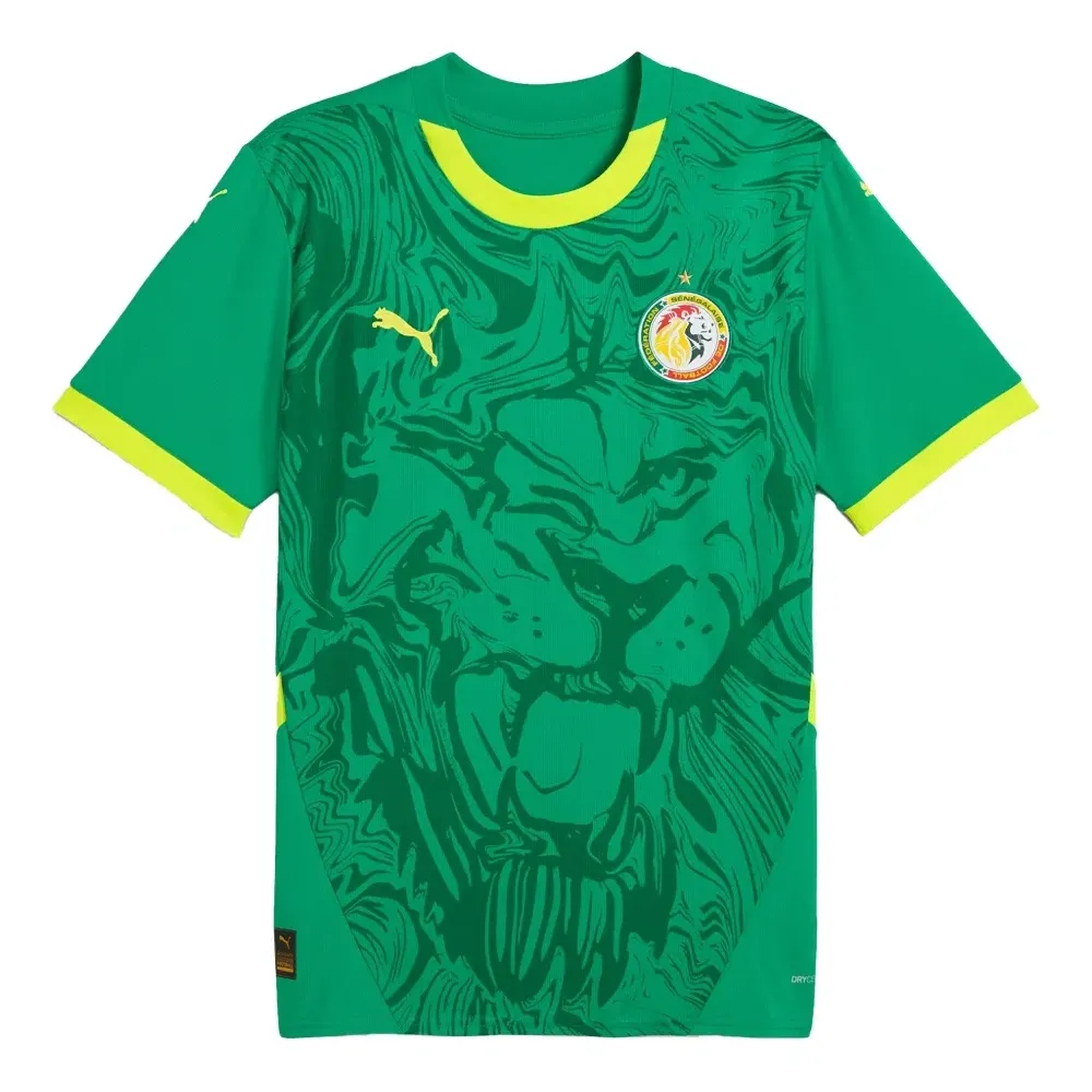 Футболка с графическим принтом Senegal 2025