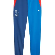 Спортивные брюки с принтом логотипа BMW Motorsport