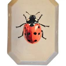 Поднос с принтом (26 x 19 см)