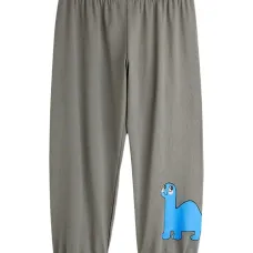 Спортивные брюки с принтом динозавров