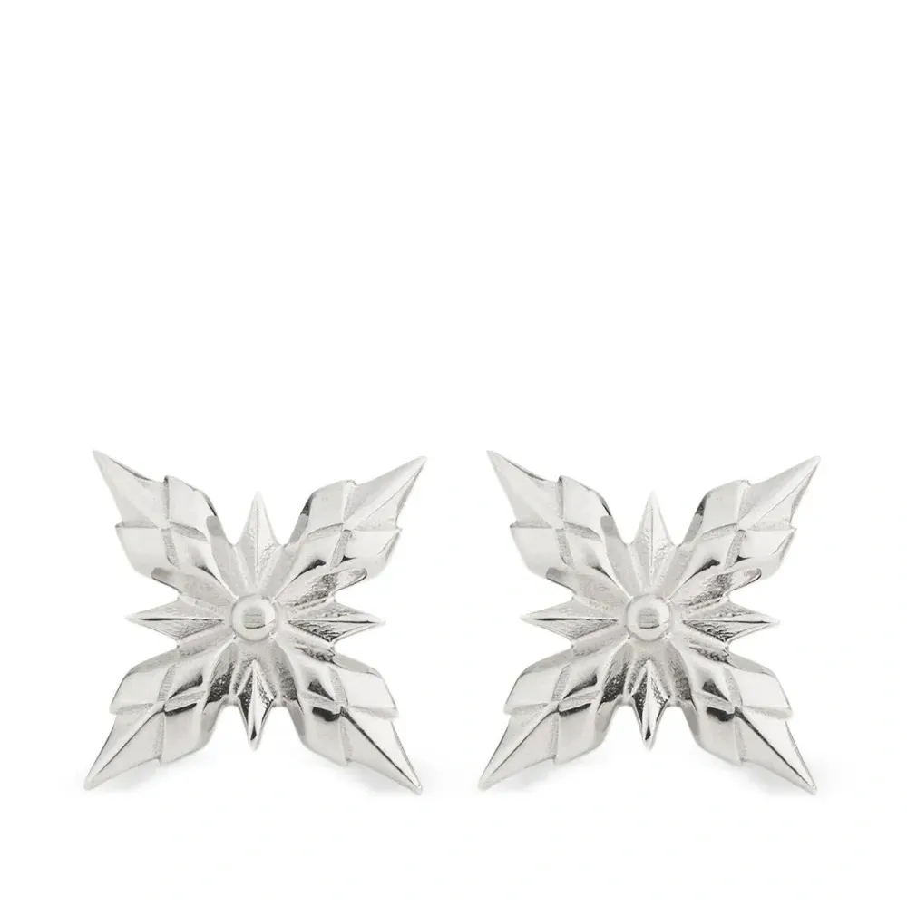 Серьги Stella Ventis