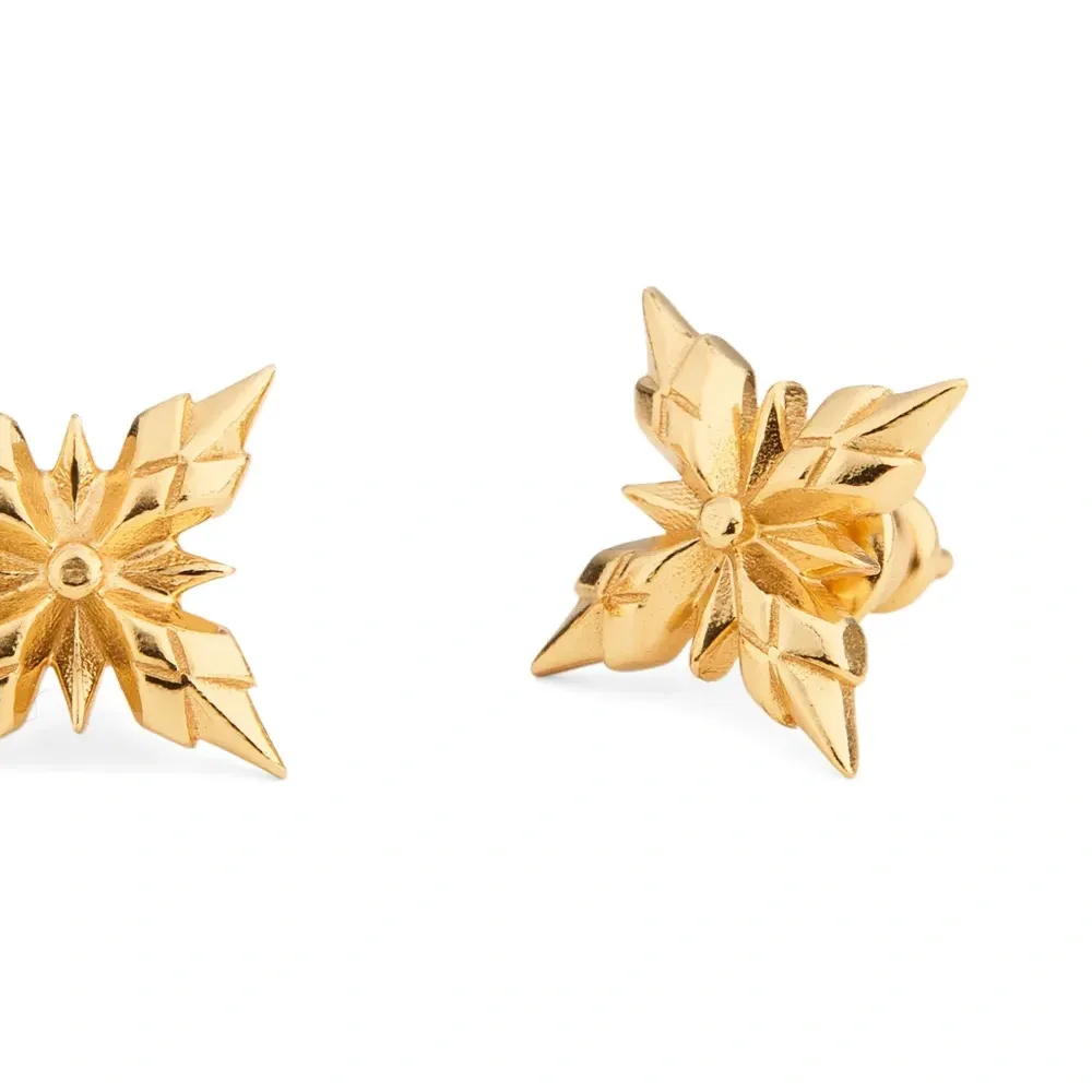 Серьги Stella Ventis