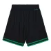 Шорты Boston Celtics Big Face 5.0 Шорты Boston Celtics Big Face 5.0