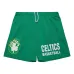 Шорты Boston Celtics Hardwood Classics Gameday Шорты Boston Celtics Hardwood Classics Gameday