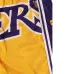 Шорты NBA Lakers Шорты NBA Lakers