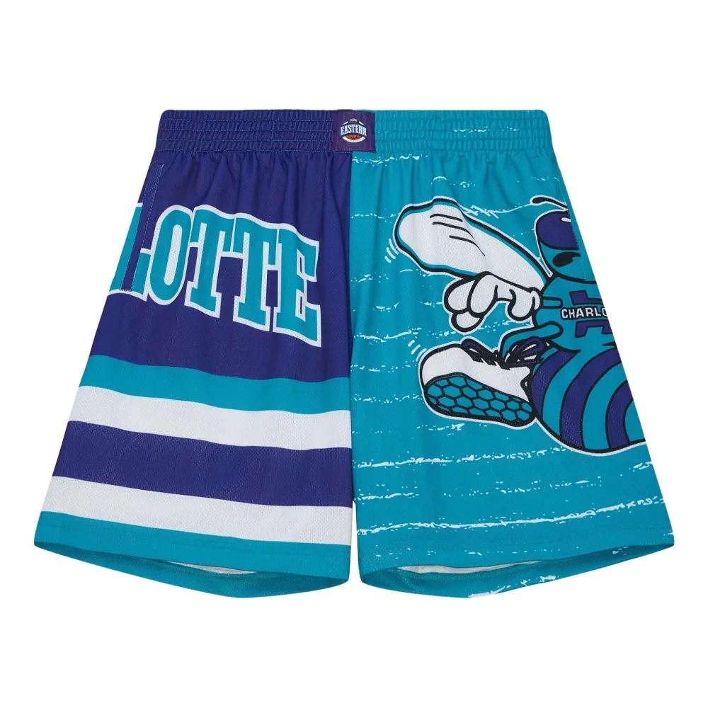 Шорты Charlotte Hornets Jumbotron 3.0
