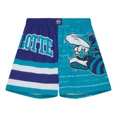 Шорты Charlotte Hornets Jumbotron 3.0