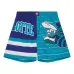 Шорты Charlotte Hornets Jumbotron 3.0