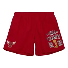 Шорты Chicago Bulls 6x Champions Heritage