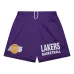Шорты Hardwood Classics Gameday из коллаборации с Purple Los Angeles Lakers