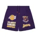 Шорты Los Angeles Lakers