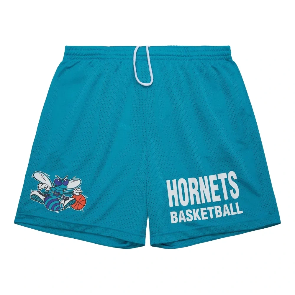 Шорты Charlotte Hornets Hardwood Classics Gameday