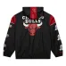 Куртка Chicago Bulls Team OG 3.0