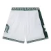 Шорты NCAA Mich State 1999