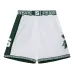 Шорты NCAA Mich State 1999