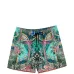 шорты Animal Alchemy