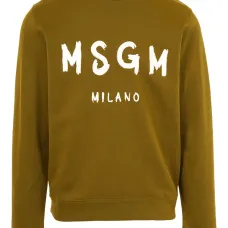 Толстовка с логотипом Толстовка с логотипом