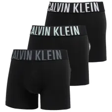 Комплект боксеров с логотипом на поясе (упаковка из трех штук)