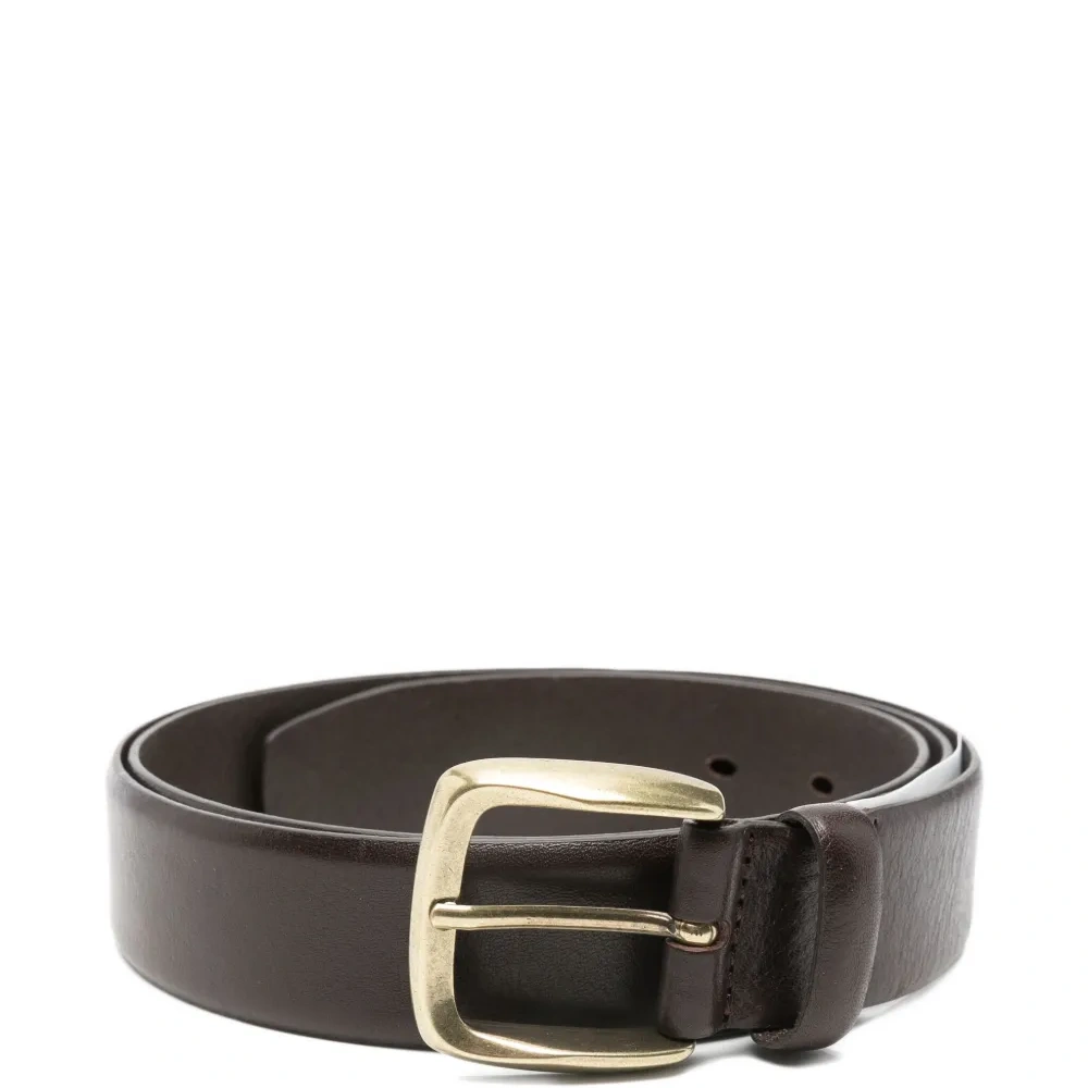 Ремень с пряжкой