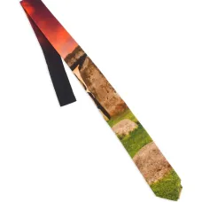 Галстук с принтом