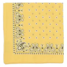 Бандана с узором пейсли