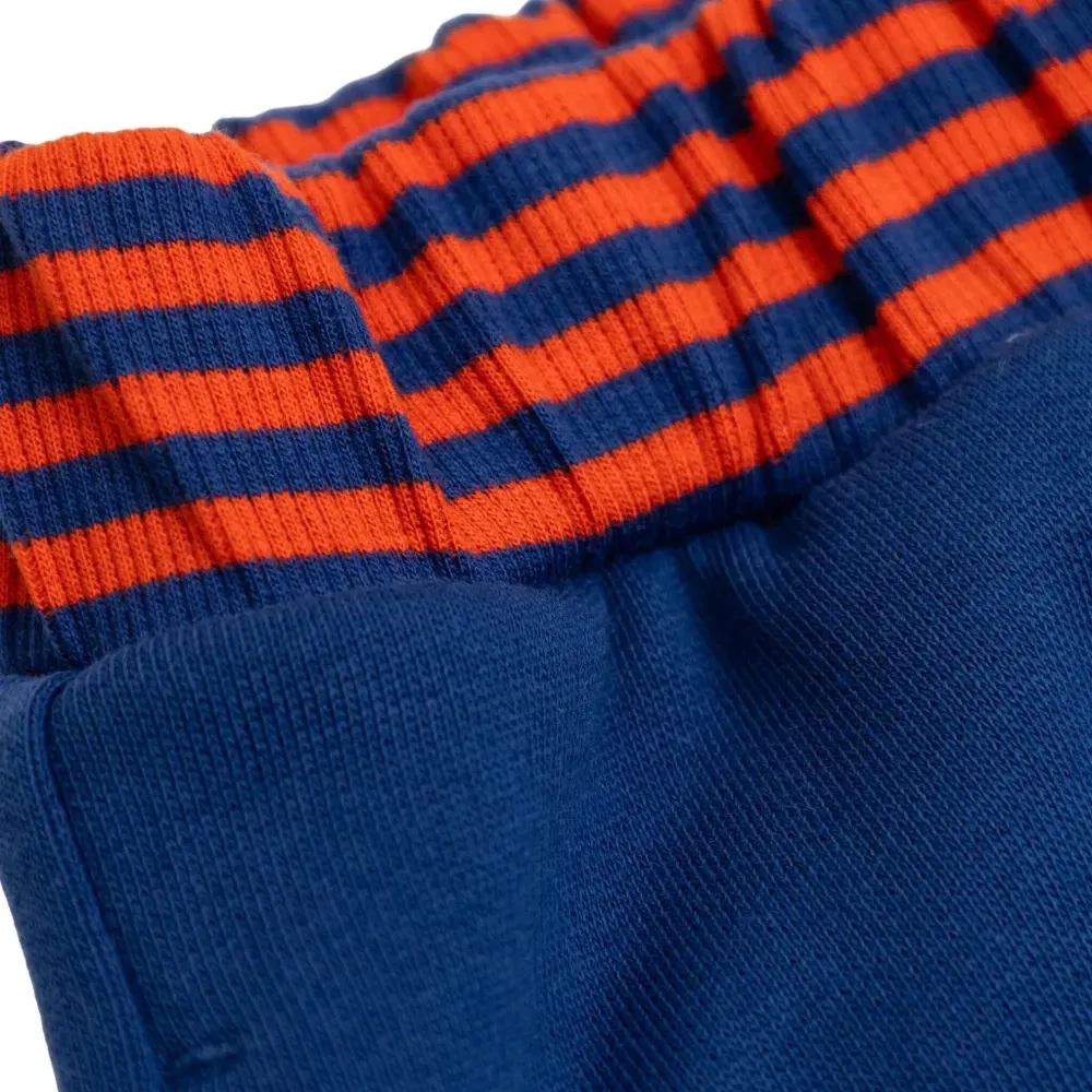 Спортивные брюки с лампасами Спортивные брюки с лампасами