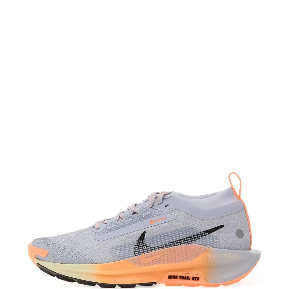 Кроссовки Pegasus Trail 5